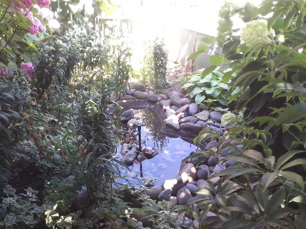 Guest House Krasi Черноморець Екстер'єр фото