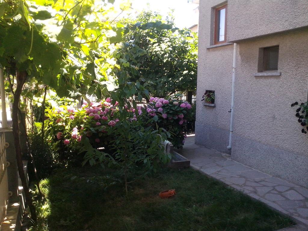 Guest House Krasi Черноморець Екстер'єр фото